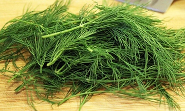 Basur Dereotu Kullanımı ve Faydaları Nelerdir?